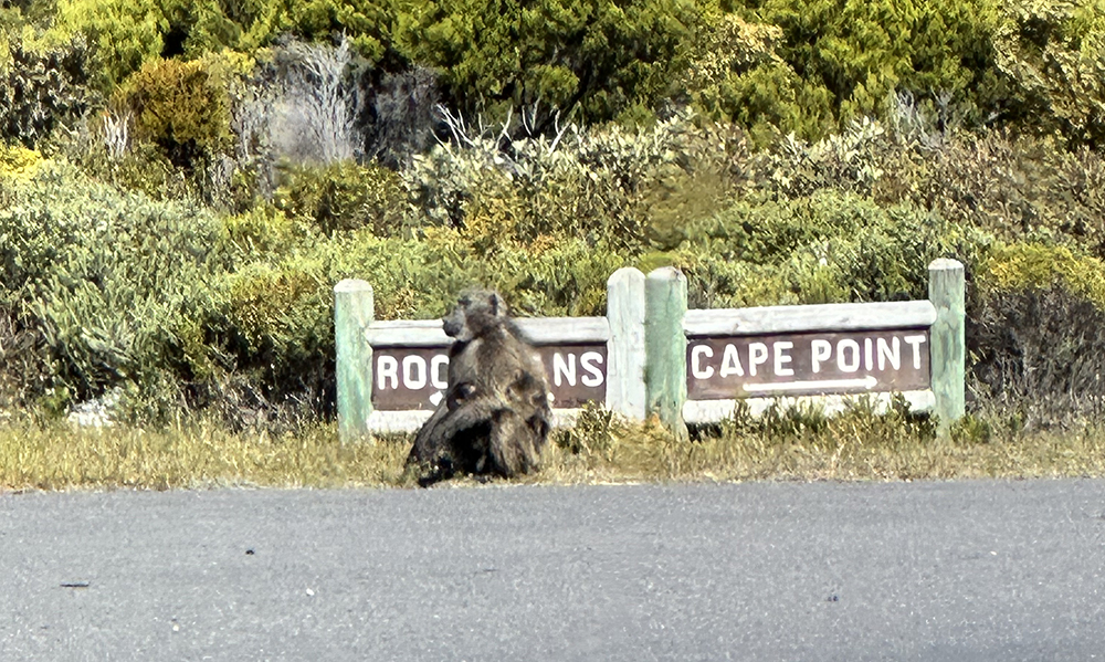 Cape of Good Hope