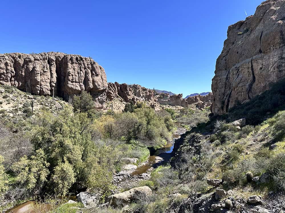 Hiking at the Boyce Thompson Arboretum 