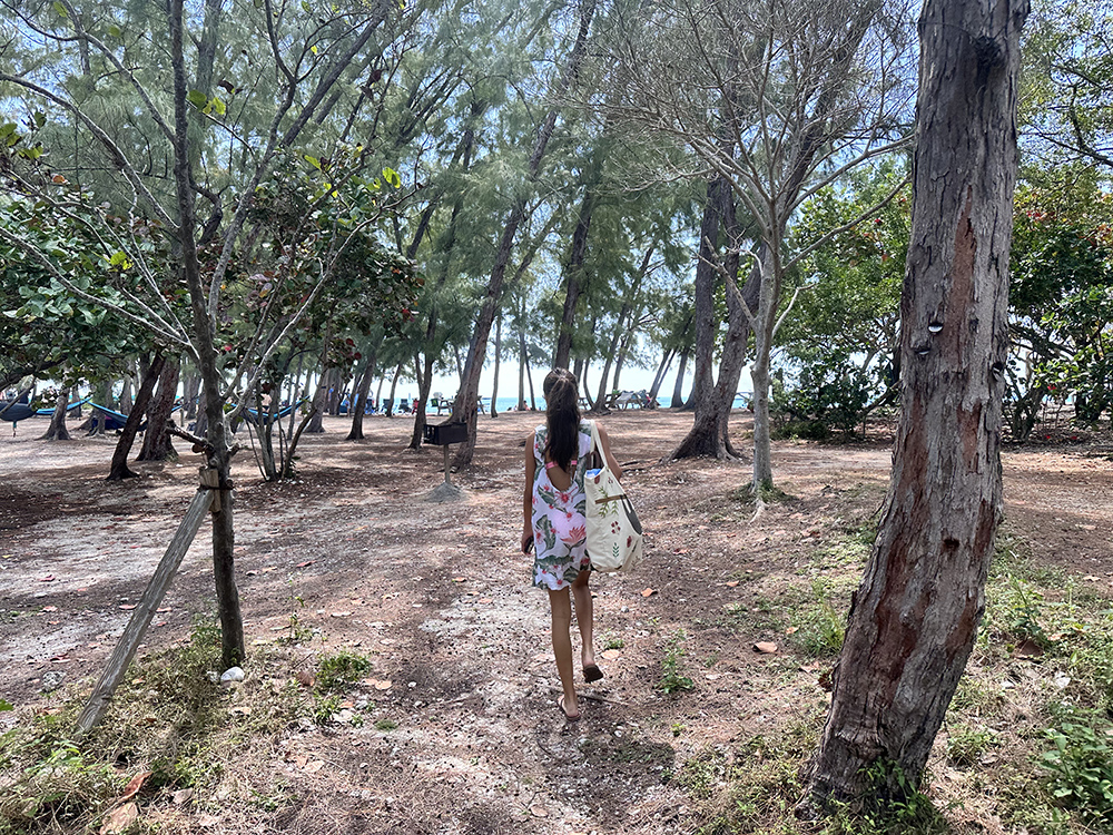 Fort Zachary Taylor Beach Key West