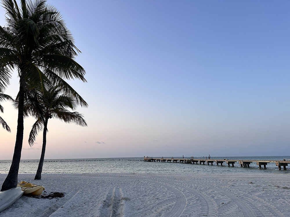 Higgs beach key west