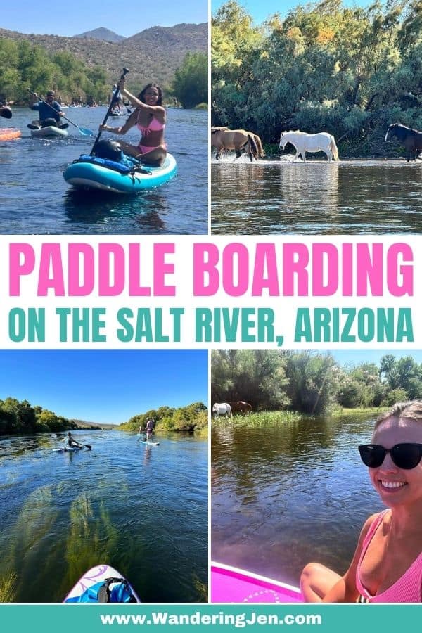 Paddle boarding the salt river, arizona