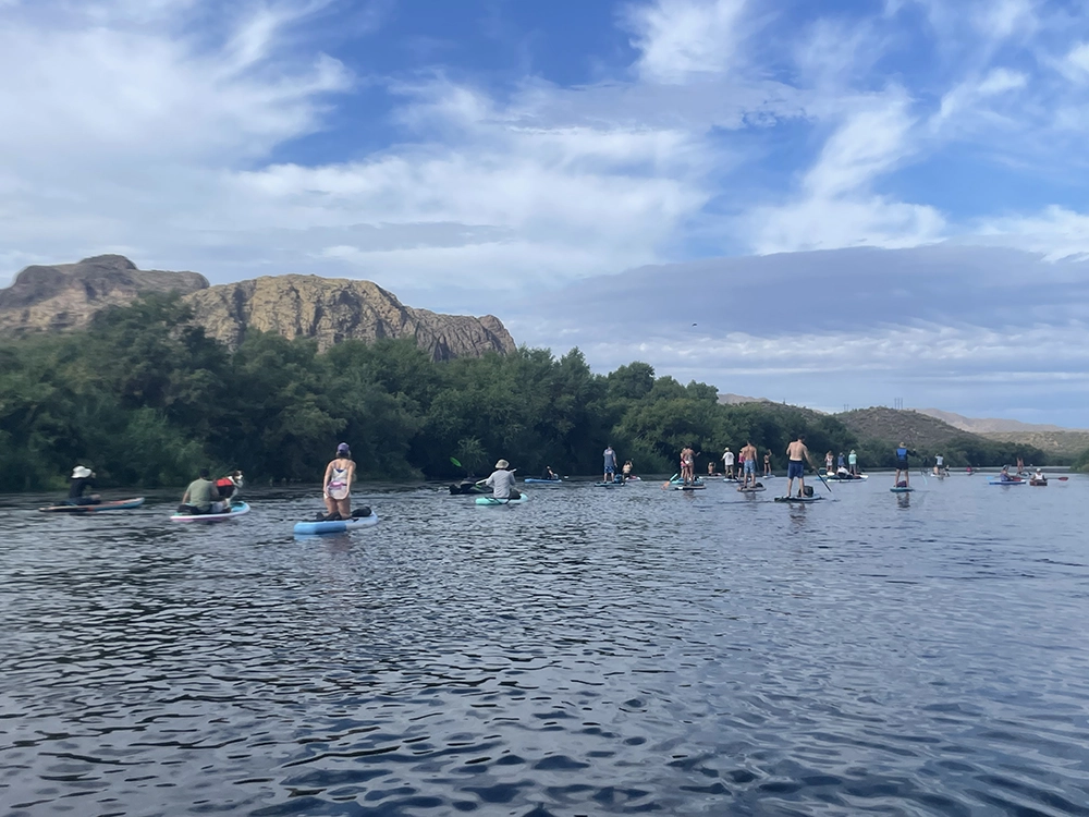 Paddle Boarders on the Salt River