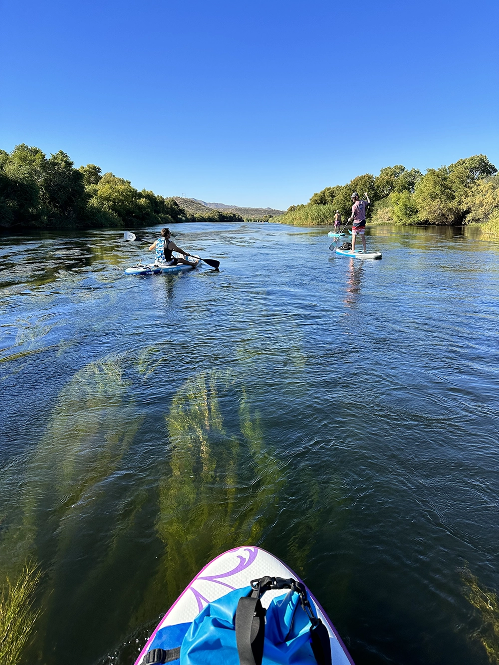 Paddling the salt river