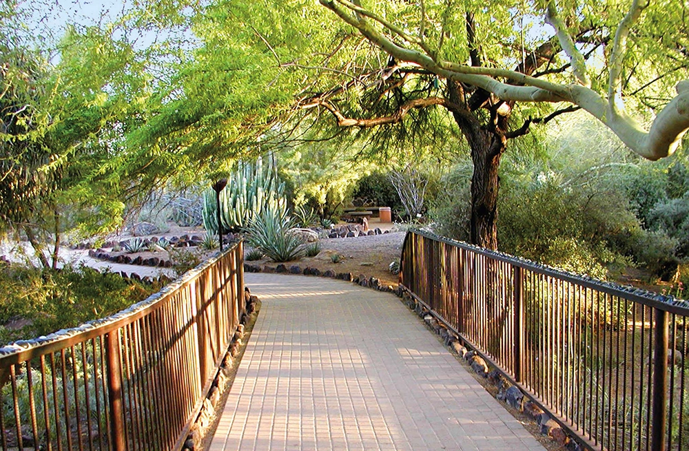 Phoenix Desert Botanical Garden