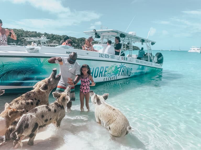 Swimming with the pigs in the Bahamas