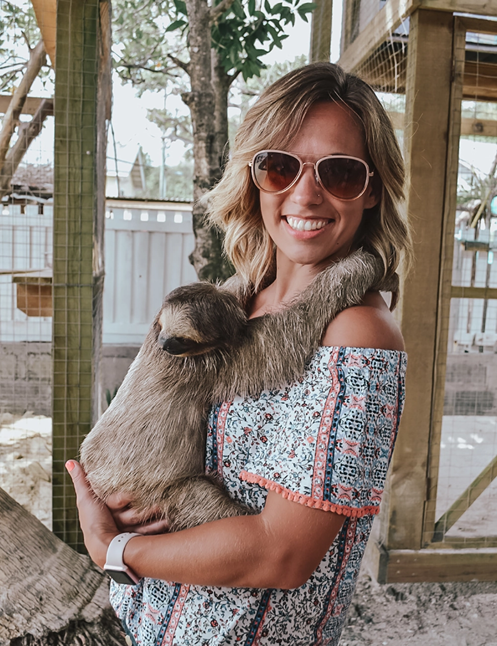 Sloth on Caribbean cruise