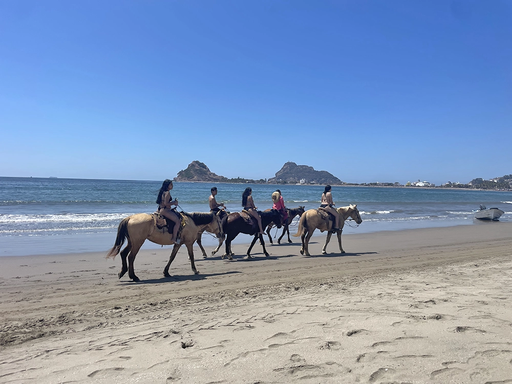 Mazatlan Stone Island