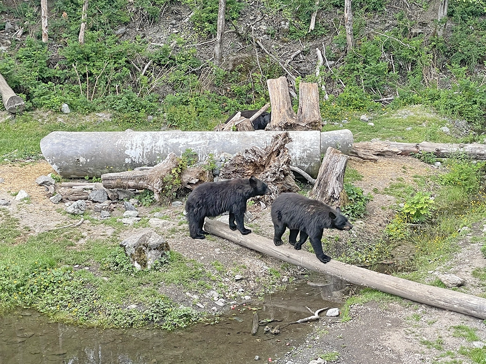 Sitka Fortress of the Bear