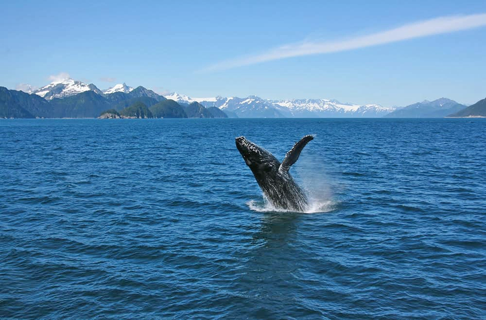 When is the best time to sail to Alaska?