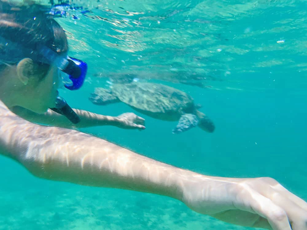 Snorkeling in Kauai