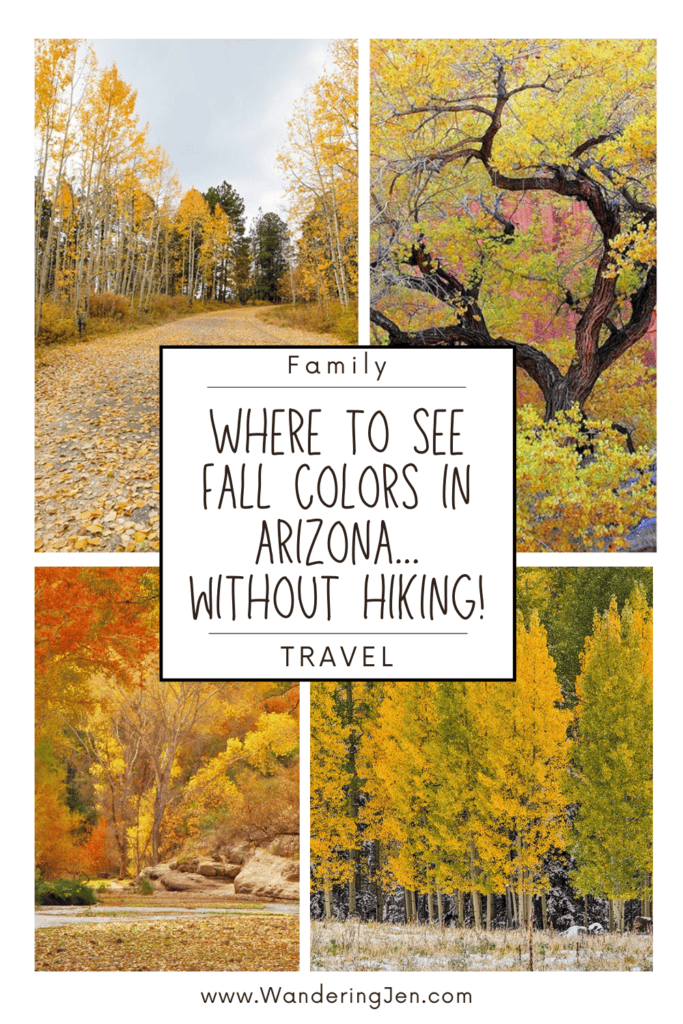 Where to see fall colors in arizona without having to hike far. the perfect family picture spots in Arizona with fall colors. 