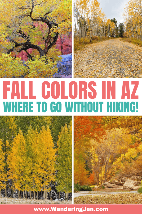 Where to see fall colors in arizona without having to hike far. the perfect family picture spots in Arizona with fall colors. 