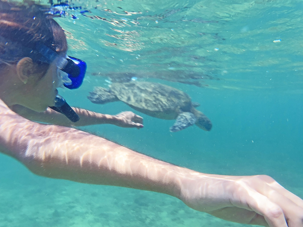 Best places in Kauai to Snorkel with kids