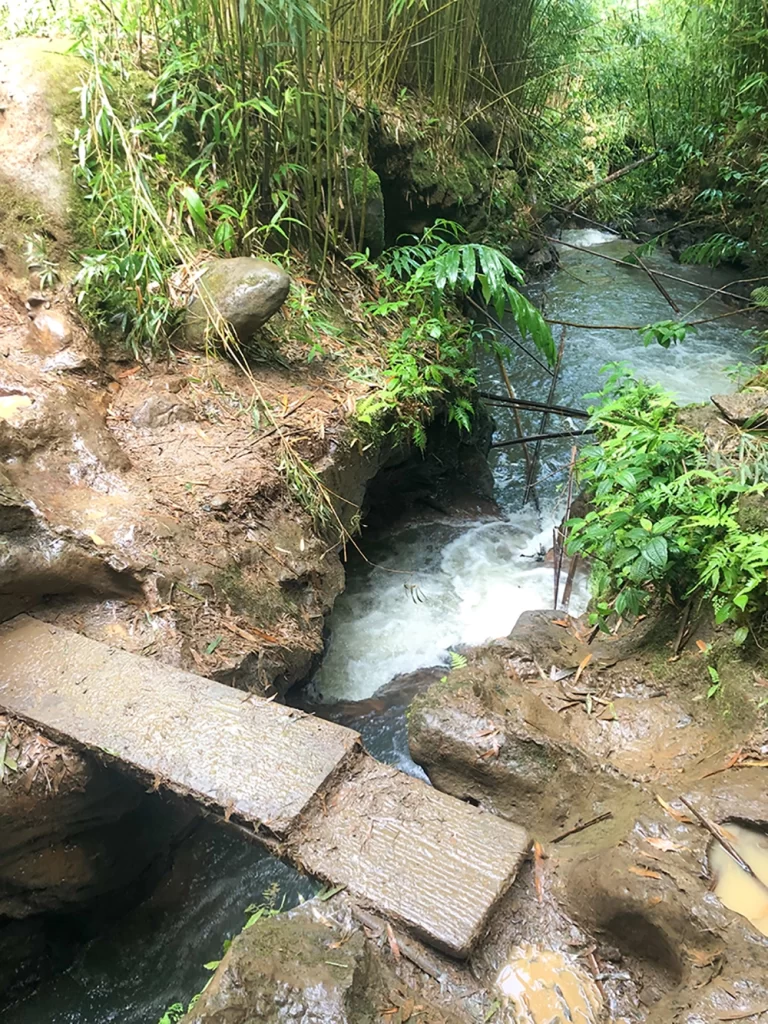 Cross over this plank to make your way to the waterfall