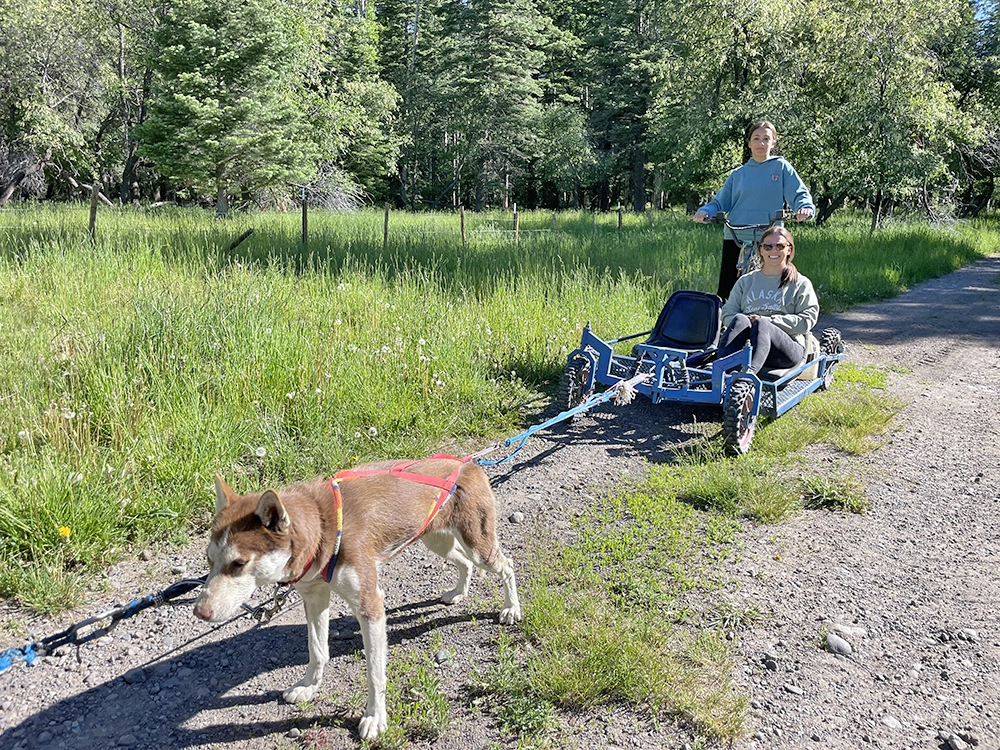 Dog sledding in Pagos Springs