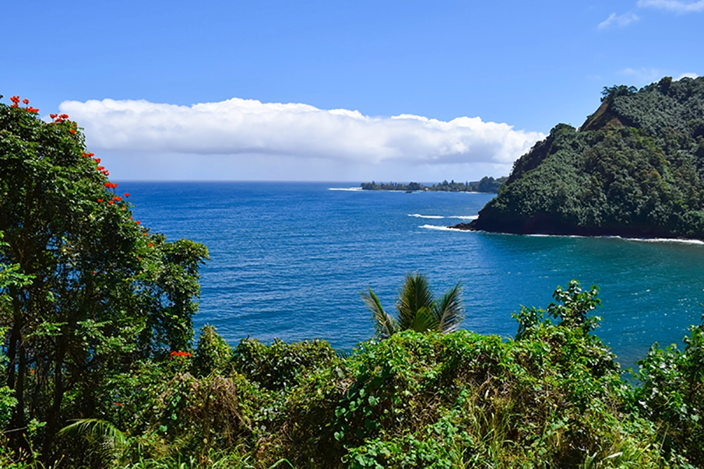 the Road to Hana