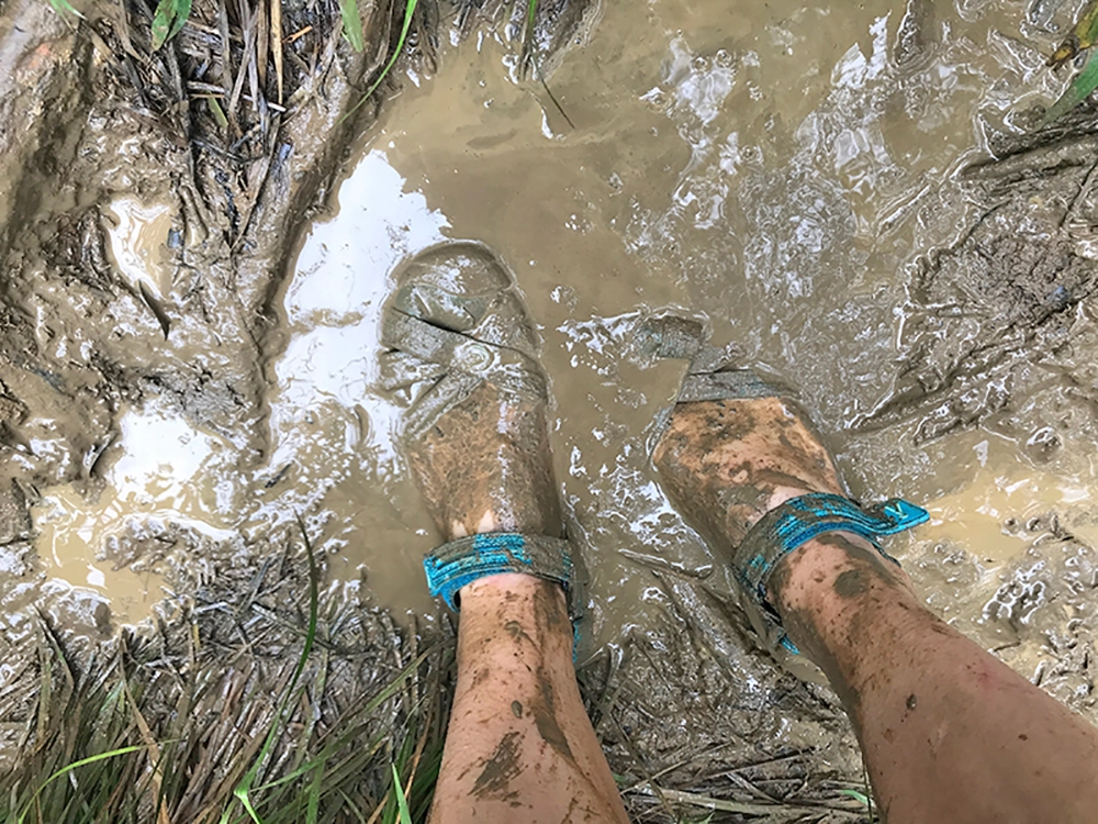 The Road is Hana is often muddy!