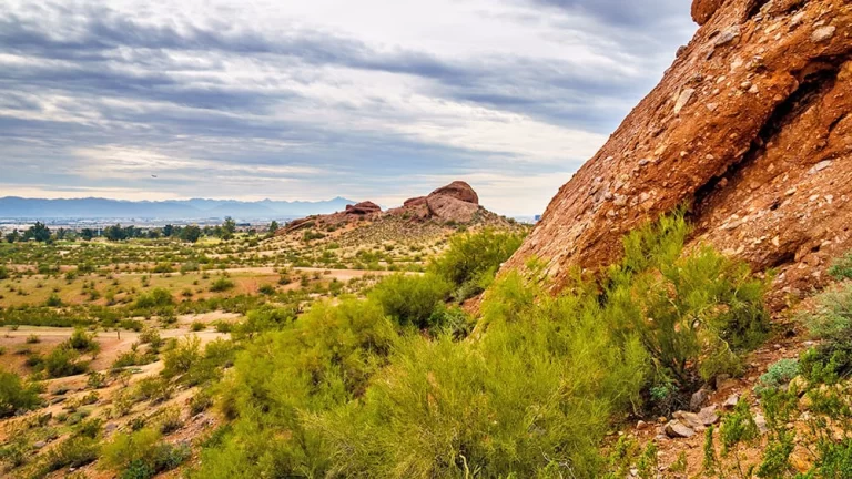 Epic kid-friendly hikes near Phoenix