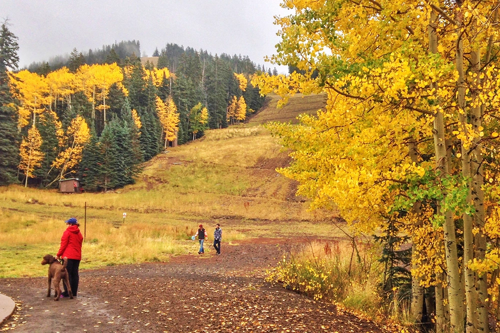 Snowbowl Drive in Flagstaff