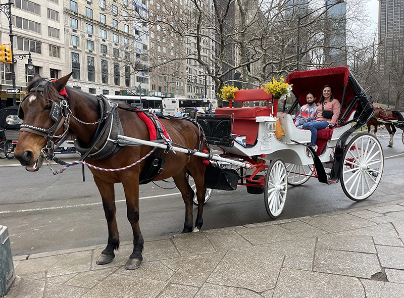 Central Park Carriage Ride