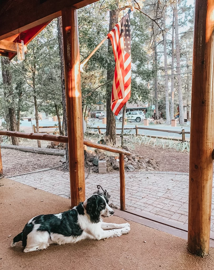 Airbnb in Pinetop