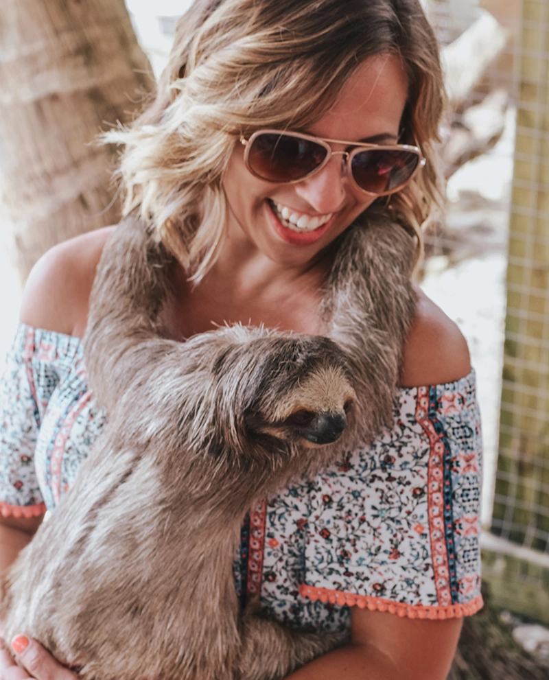 Hold a sloth in Roatan