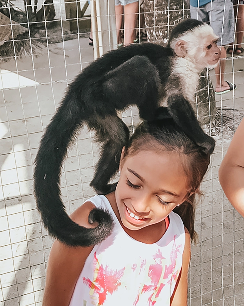 Roatan, Honduras. Hold a sloth.