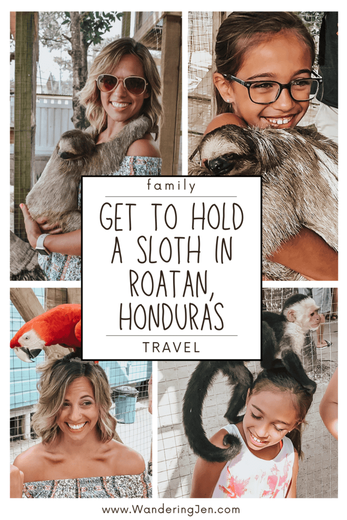 Where to hold a sloth in Roatan, Honduras, while on a western Caribbean cruise