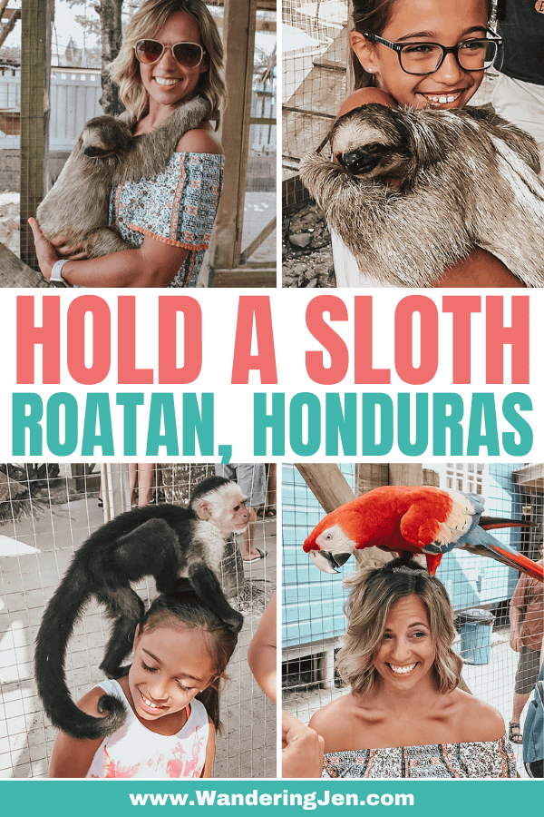 Where to hold a sloth in Roatan, Honduras, while on a western Caribbean cruise